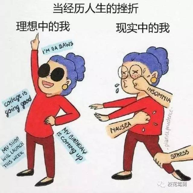 于是就有了理想与现实的对比 花匠今天看到这组小漫画可以说非常形象