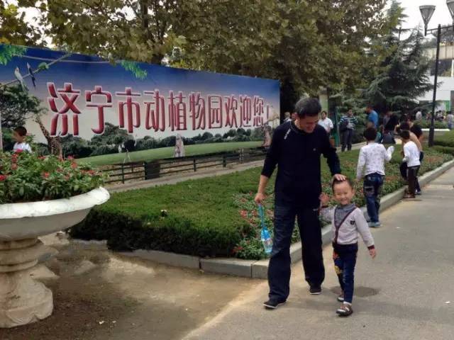 好消息!济宁市儿童公园,济宁凤凰台植物园下月底开工建设