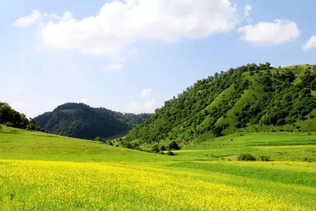 自驾游陇县关山草原,优惠多多!