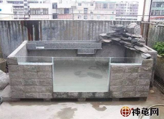 水泥,瓷砖,不锈钢,塑料,建龟池哪种建材好?