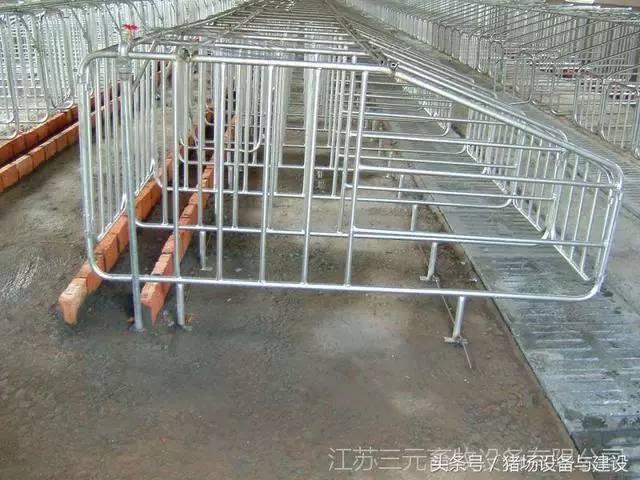 猪场限位栏安装的几种方法(附图)