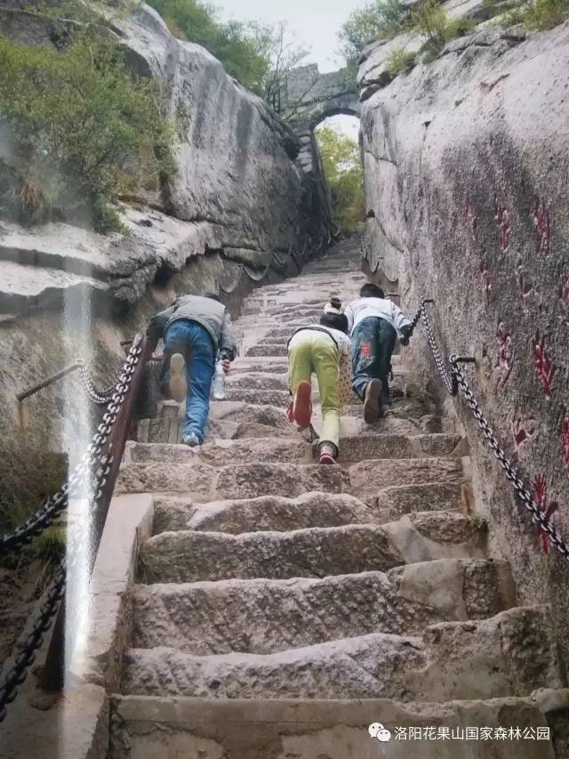 5月19日是第七个"中国旅游日",洛阳花果山国家森林公园对洛阳市范围