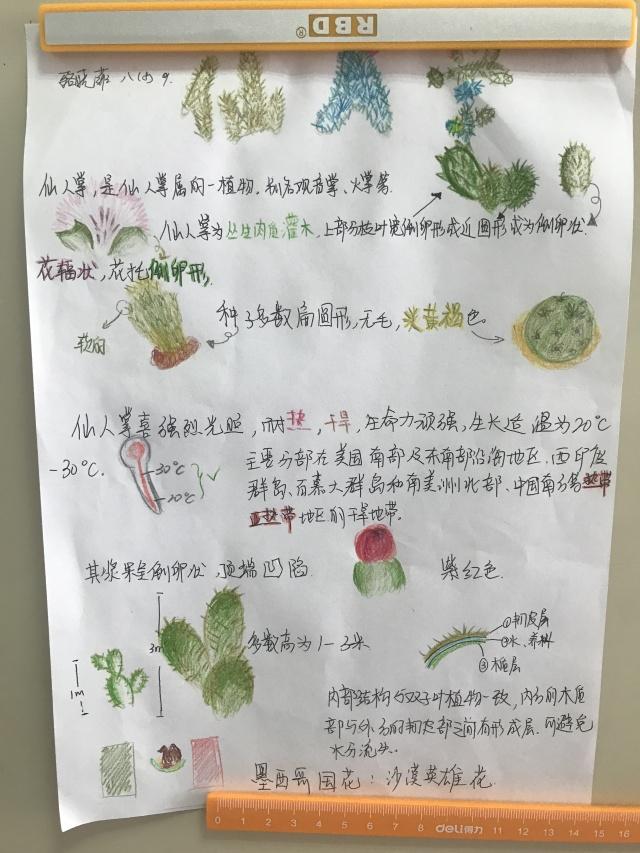 科技节系列活动丨走进植物的世界 绘制我的自然笔记