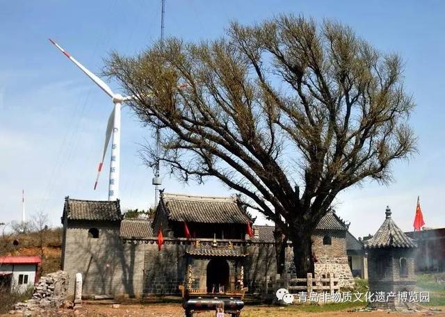 日前,来到了海边小村,田横(丰城)七口村, 古老中也显现出一些现代气息