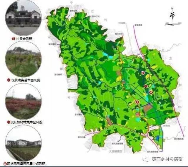 案例分析-重庆市南川区大观镇金龙村规划