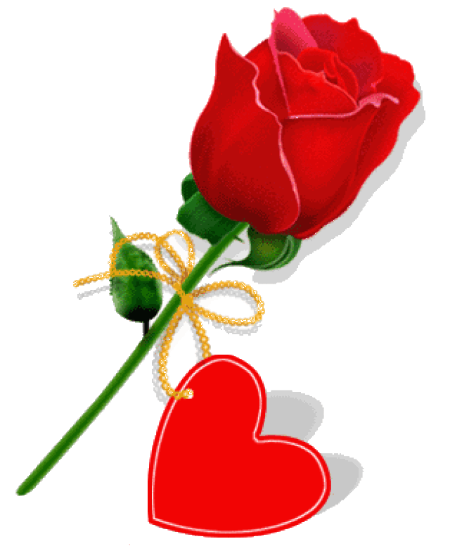 今天,5.20网络情人节 把这些玫瑰花放到朋友圈 朋友会爱死你 !