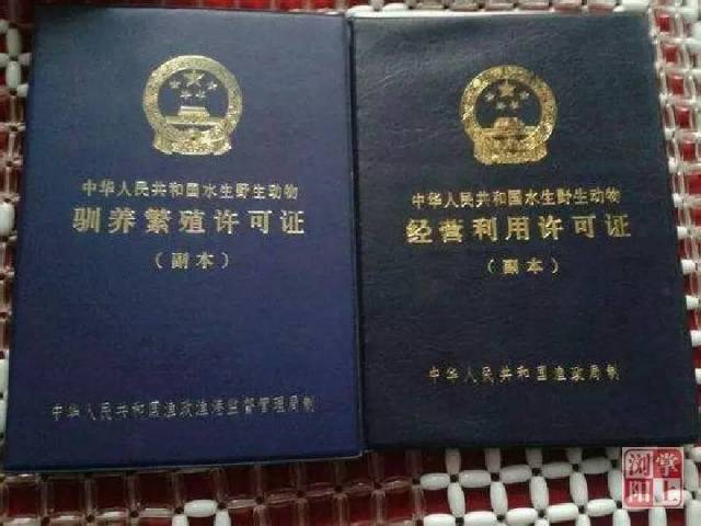 而正规的驯养销售方还应该有中国水生野生动物驯养繁殖许可证和经营