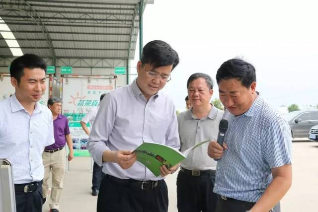 武汉临空港经济技术开发区管委会主任 区委书记陈邂馨