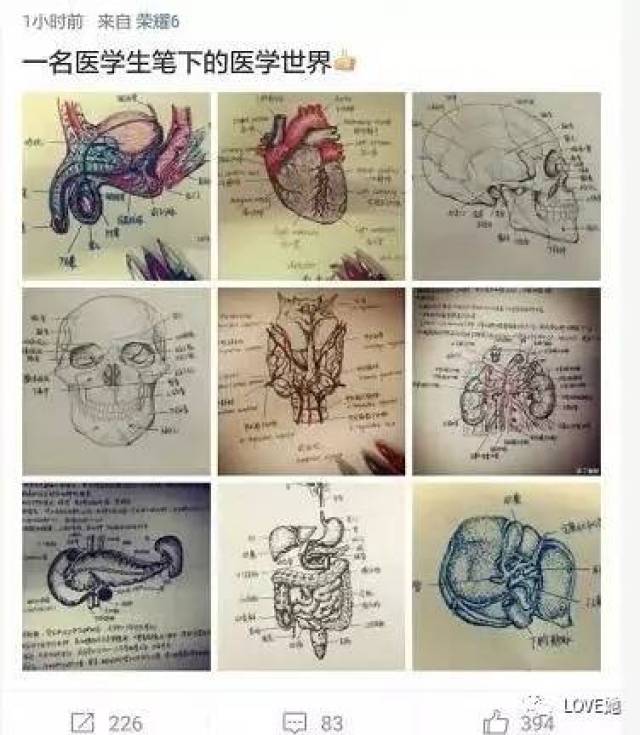 "切了一上午的子宫",手绘人体解剖图解压!福州这女研究生丫霸