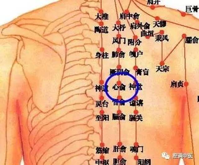 再来个触诊:"张三丰再伸手抚摸,只觉掌印处炙热异常,周围却是冰冷