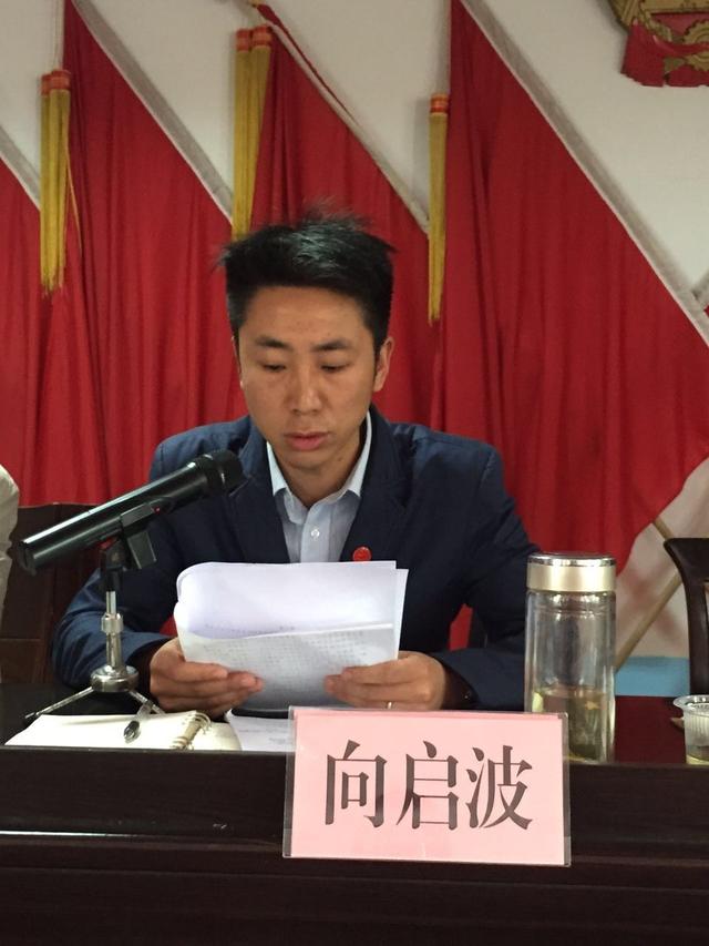 镇党委副书记向启波传达十八届六中全会,从严治党等相关会议精神,要求