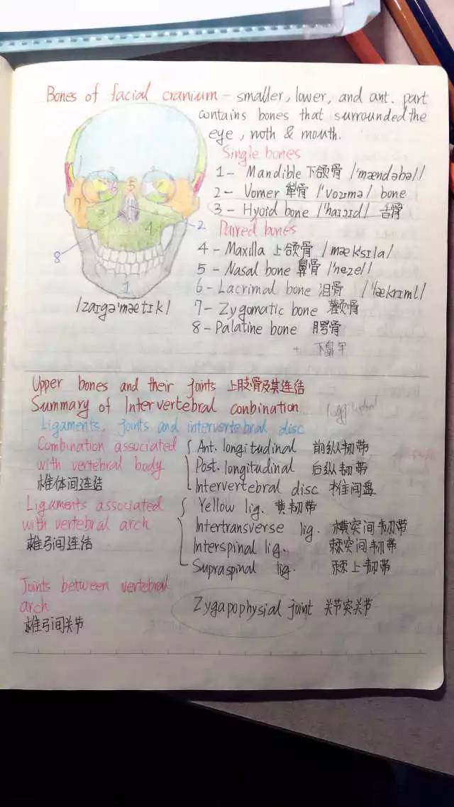 人教版小学二年级语文上册教案表格式_小学语文表格式教案_小学五年级语文上册教案表格式