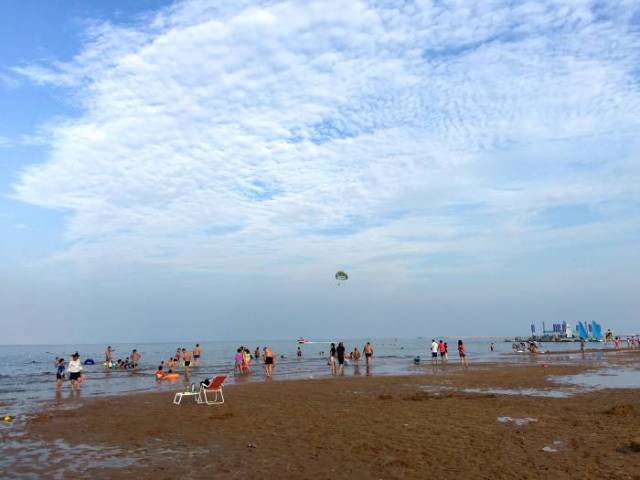 这是天津滨海新区首个人工海滩.