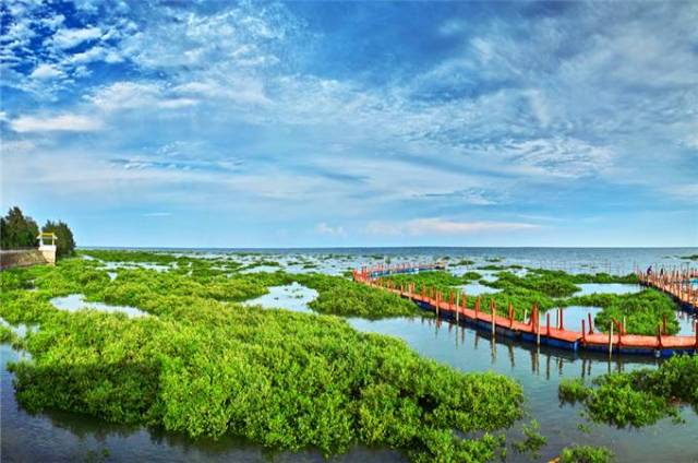 抵达后接站员接团,后乘车赴东兴七彩贝丘湾景区(约3