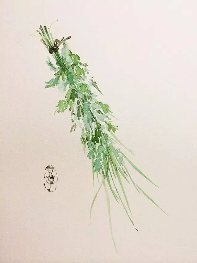 在端午节,人们把插艾草和菖蒲作为重要内容之一."艾",又名家艾,艾蒿.