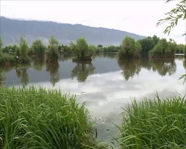 你还不知道吗?鹤庆县草海湿地西草海结束禁渔开放垂钓了