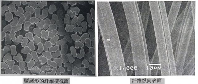 几种常见的再生纤维素纤维