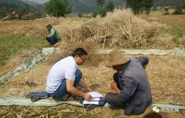 宁强县燕子砭镇副镇长李巍在田间调查了解贫困户信息.