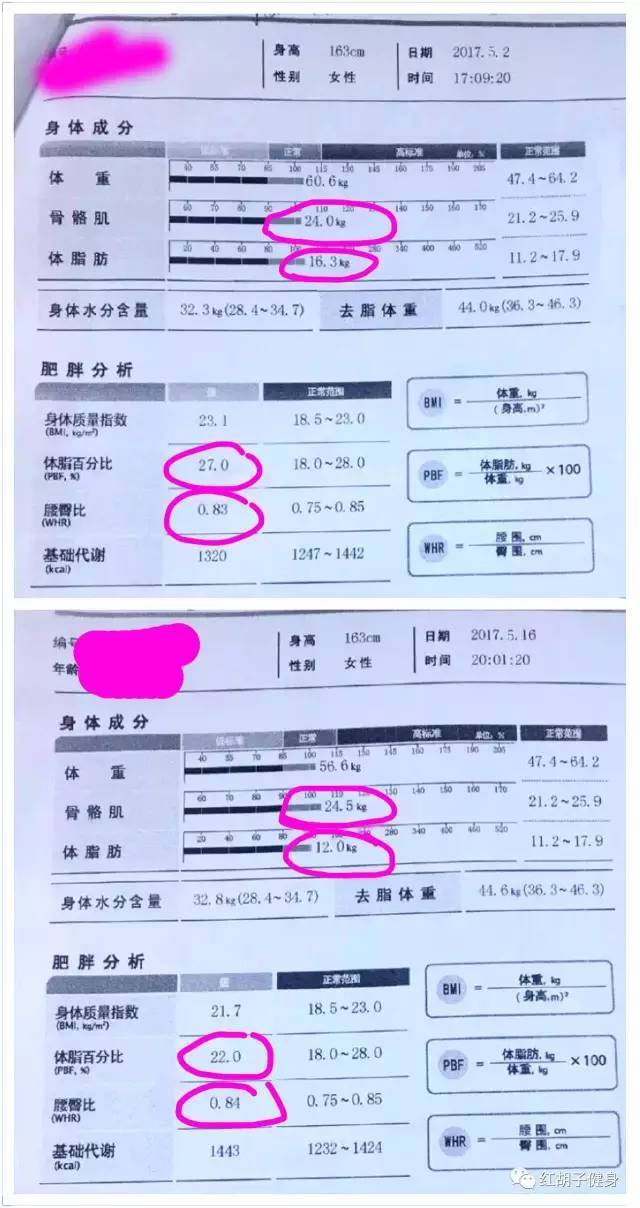 14天效果对比 体脂百分比下降5.0,体重下降4斤