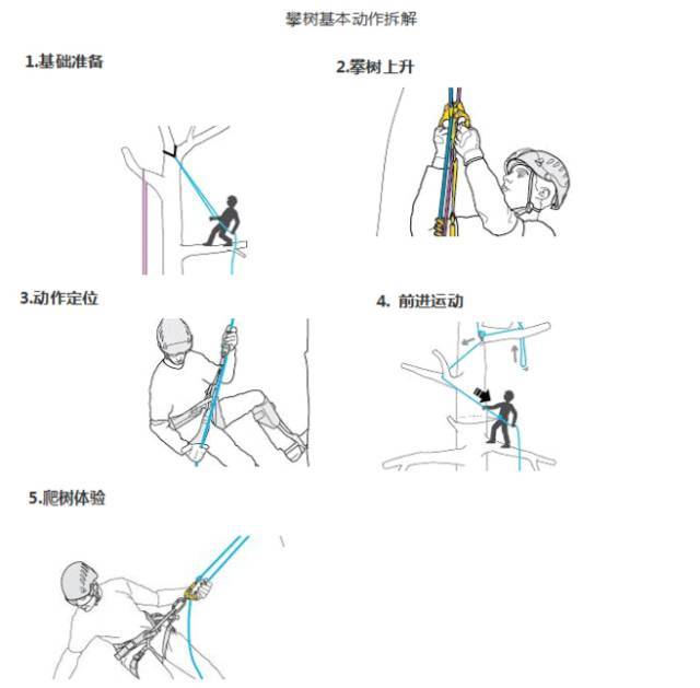 part   攀树运动绳结的打法及运用 规则讲解完毕之后,教练会教授小