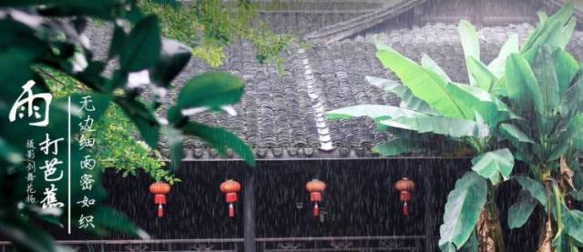 二胡简谱雨打芭蕉_雨打芭蕉简谱(3)