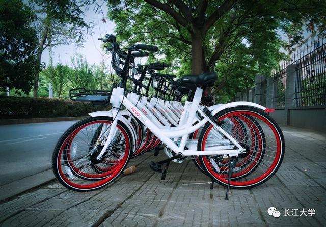 在六月 早上醒来 校园旁突然出现了一排排可爱的小白车 ——hellobike