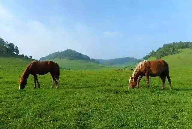 "体验关中民俗,领略草原风情"——袁家村,关山草原自驾三日游