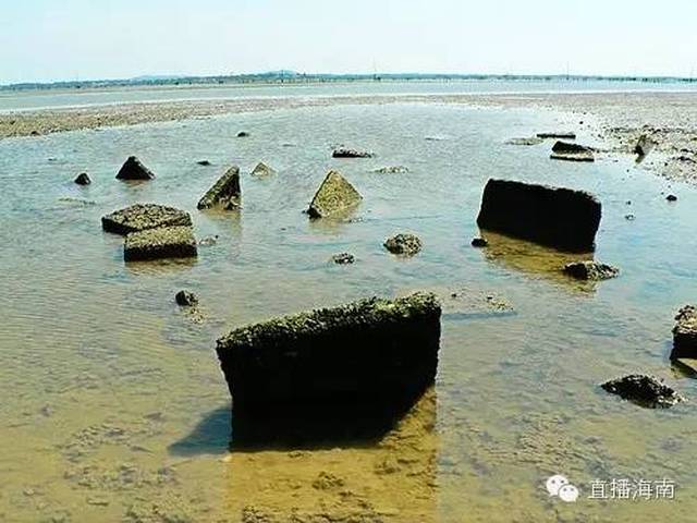 大退潮之后,地震遗址上裸露的海底村庄遗址