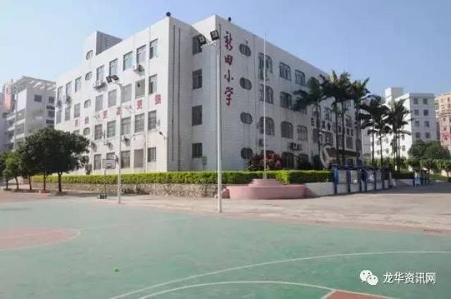 深圳市龙华区新田小学