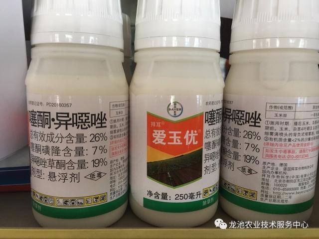 玉米田革命性除草剂----神奇的爱玉优,你用了吗?