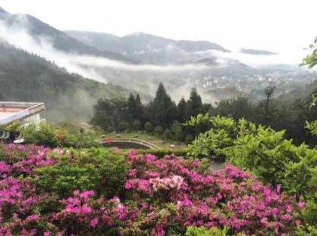 《老家有四美》——永春雪山风雅颂的这些"美".