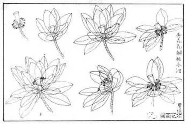 荷花的组合方法:在了解花瓣的各种角度变化时,先画出莲蓬和荷梗,花蕊