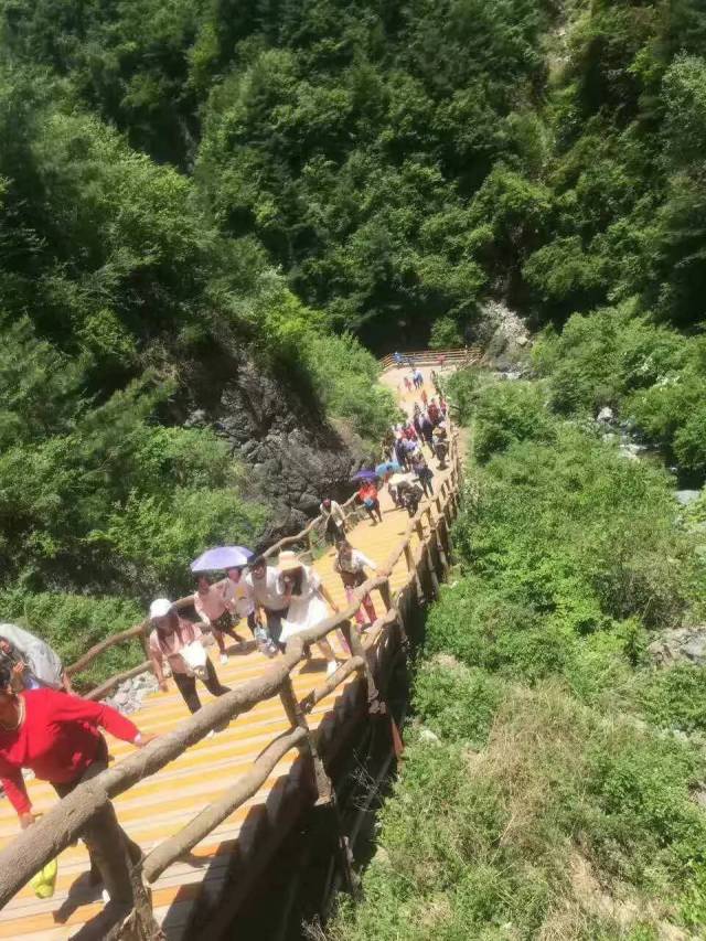 孟达天池,大墩峡,临夏风情二日游