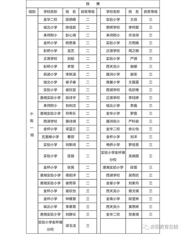 2017年耒阳市中小学生