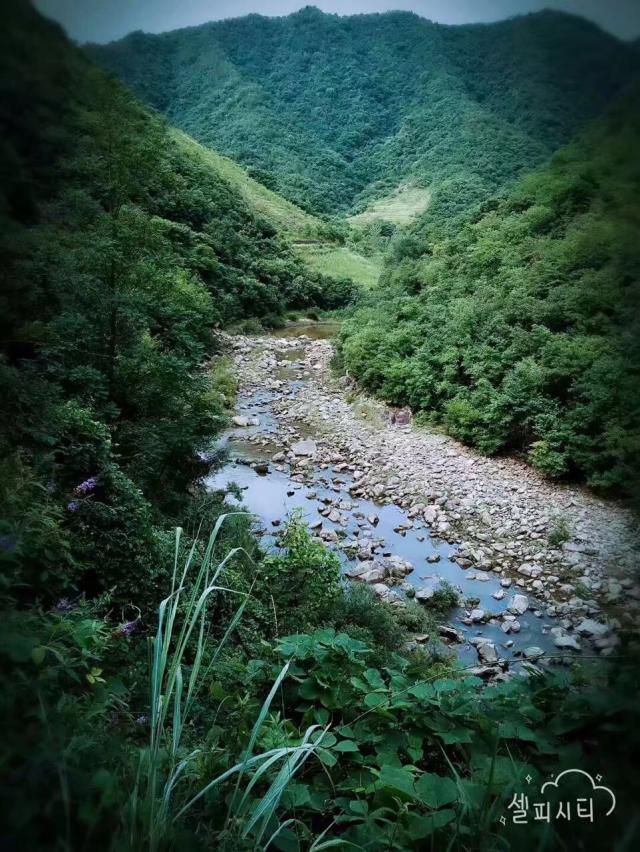 【勉县最美乡村】长沟河镇——春百花,夏避暑,秋红叶