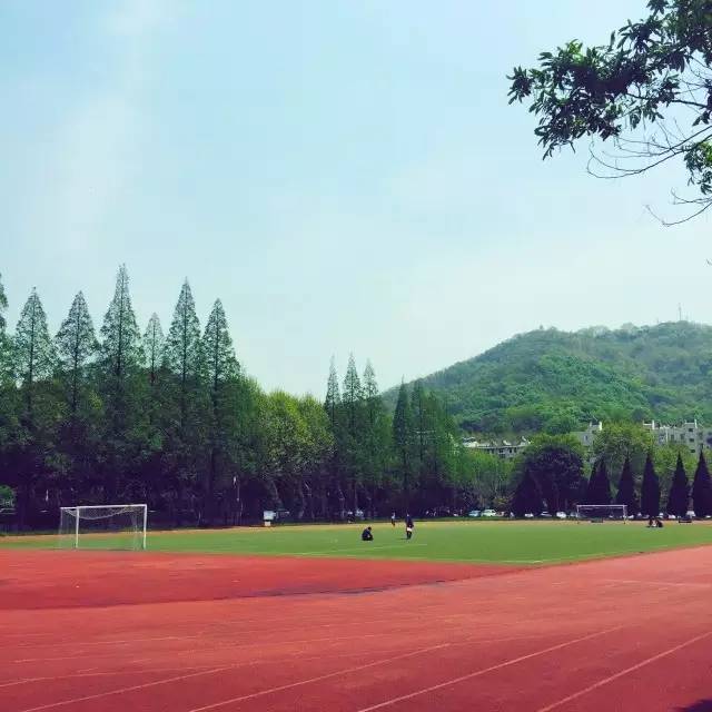 我住在南京师范大学紫金校区,紫金山下,玄武湖畔就是对我家位置的最好