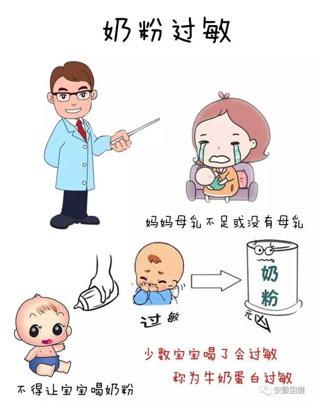 宝宝牛奶过敏,如何正确选择奶粉,一张漫画教你选择!