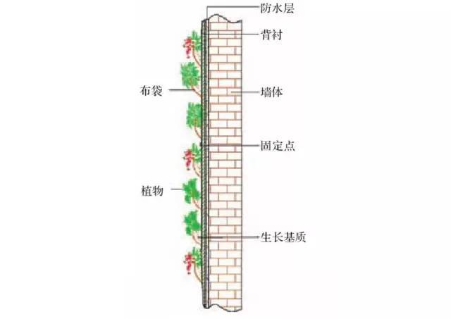 干货| 垂直绿化:绿色空间的竖向延伸