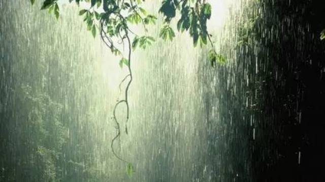 最近老是下雨?1分钟教你掌握唯美雨景拍摄技巧