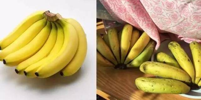 八福力介 自然生长自然放熟的香蕉芭蕉