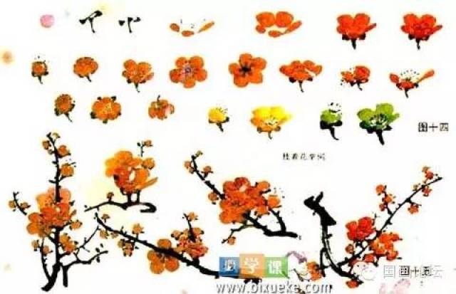 【如下图】 练习: 画一幅简单的梅花图 梅花的结构包括花瓣,花蕊,花蒂