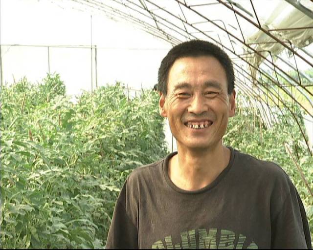 而在廊坊市的曹留犊村,地的陈建凯大哥就种了6亩这种吊线的袖珍西瓜.
