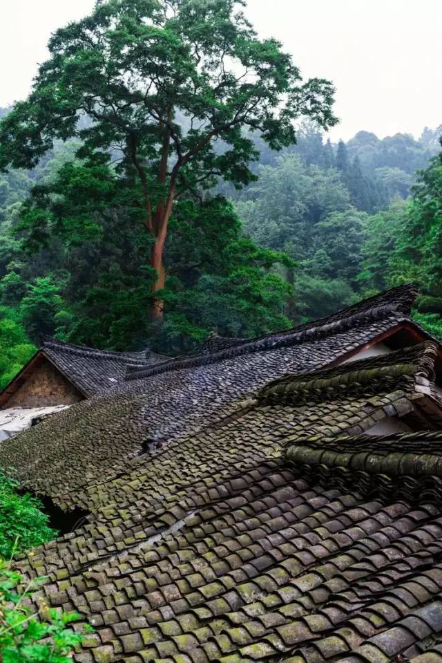 组图 威信红色旅游小镇-水田 这照片拍得太美了!