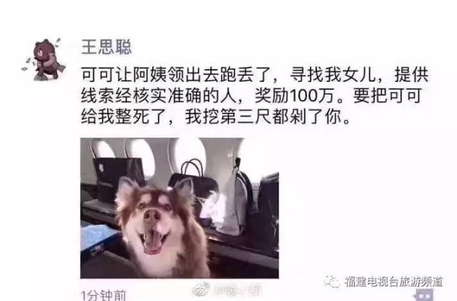 一条狗和一根棍子猜成语_一根棍子图片(2)