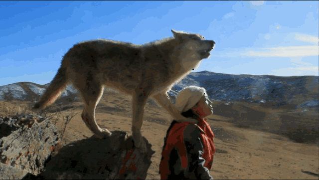 《重返·狼群》:人与狼的格林童话-娱乐频道-手机搜狐