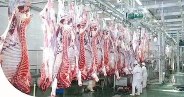 年屠宰50万头商品猪暨肉食品加工厂,实现产业一体化
