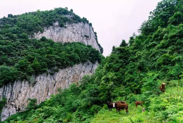 组图 威信红色旅游小镇-水田 这照片拍得太美了!