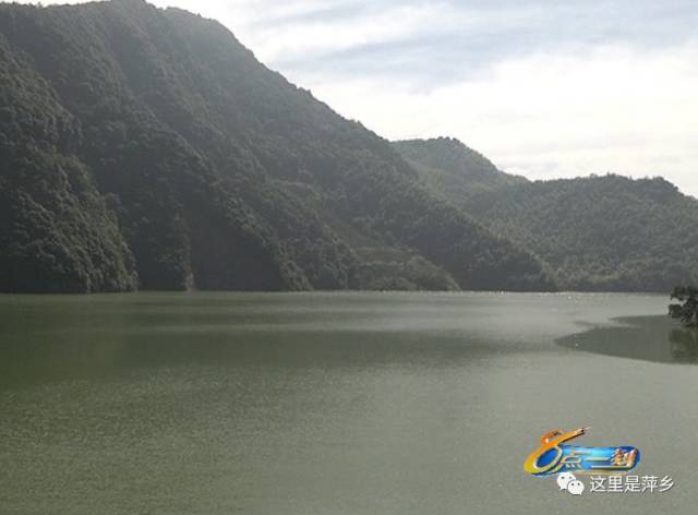 暴雨过后的山口岩水库垃圾漂浮面积=半个足球场!