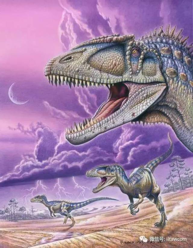 鲨齿龙是已知最大型,最重的兽脚类恐龙之一,仅次于棘龙.