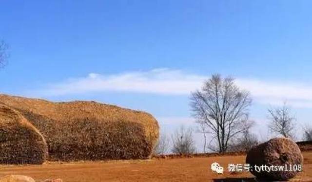 麦垛的金黄也是乡土的,麦充分理解了土地的命意,光泽柔和而不张扬,那